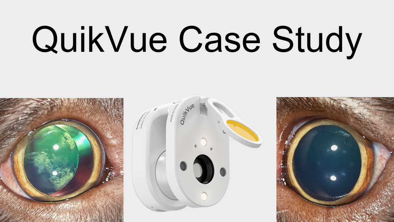 QuikVue Vet-Fallstudie – Aphakischer Halbmond