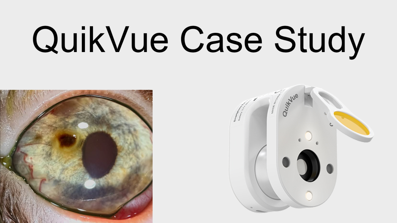 QuikVue Vet-Fallstudie – Hornhautsequester