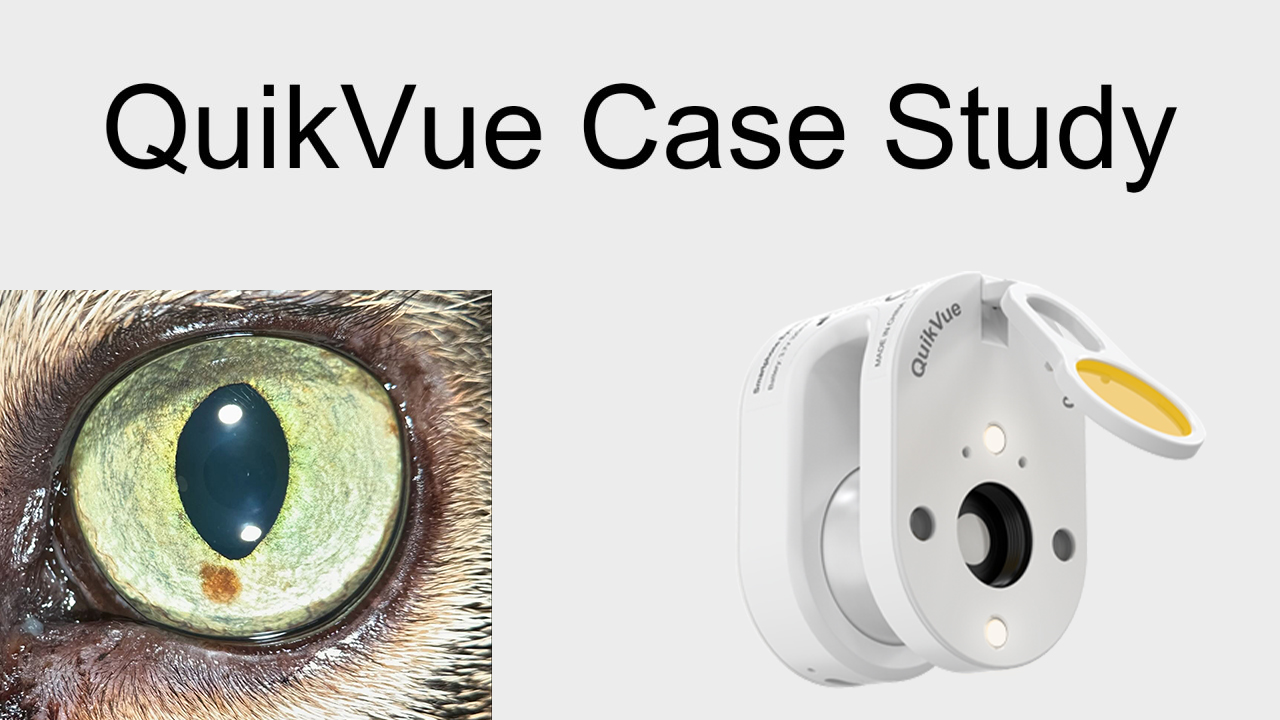 QuikVue Vet-Fallstudie – Irismelanose bei Katzen