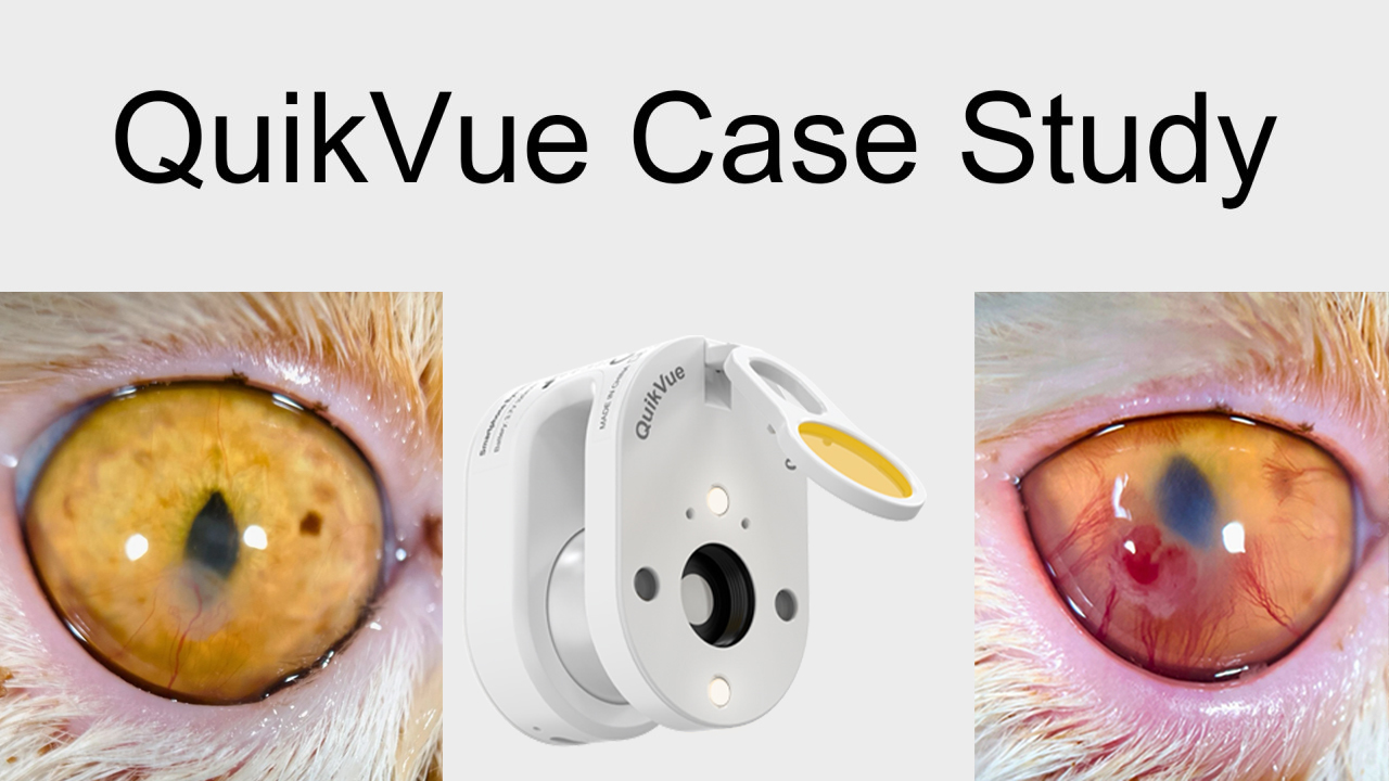 QuikVue Vet Case Share – Iriskolobom bei einem 3 Monate alten Australian Shepherd.