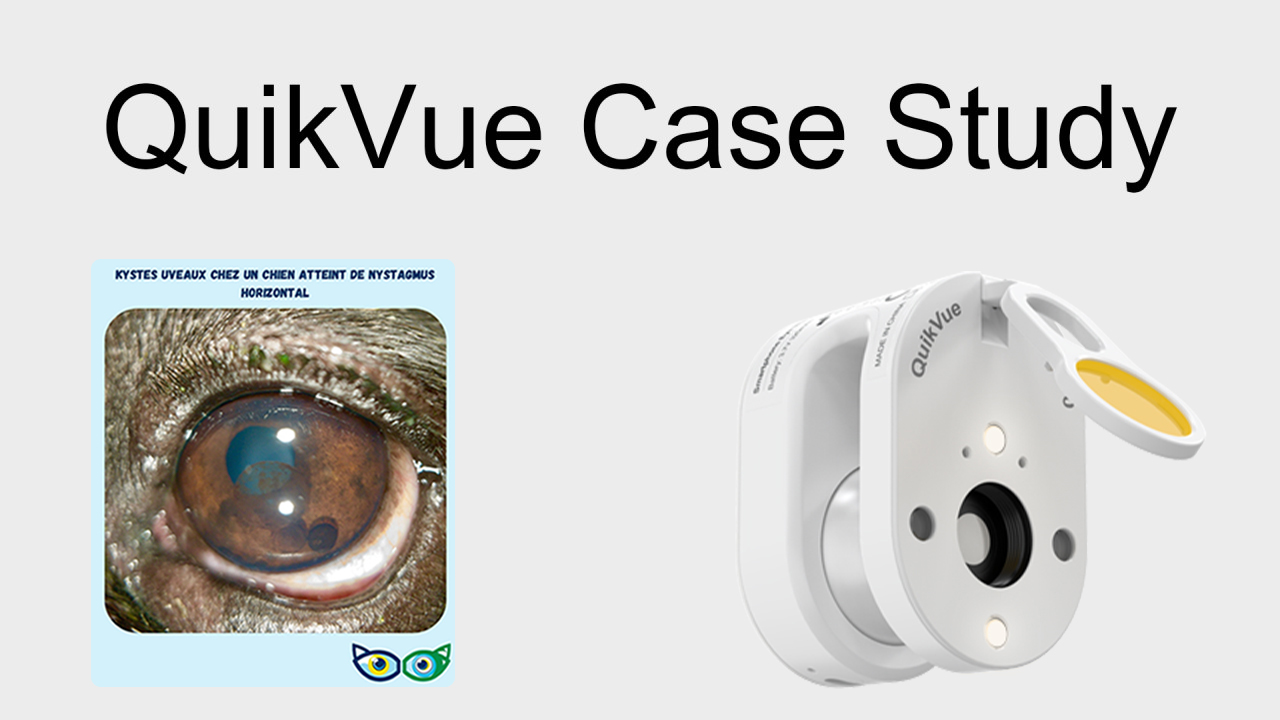 QuikVue Vet Case Share-Kystes uvéaux et nystagmus horizontal chez le chien
