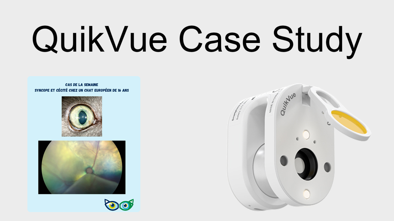 QuikVue Vet Case Share – Synkope und Blindheit bei einer Katze