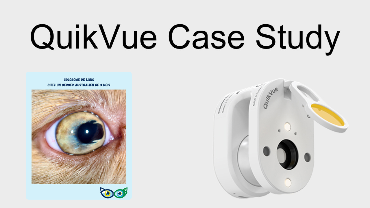 QuikVue Vet Case Share – Medizinische Behandlung von mittelschwerem Stromageschwür