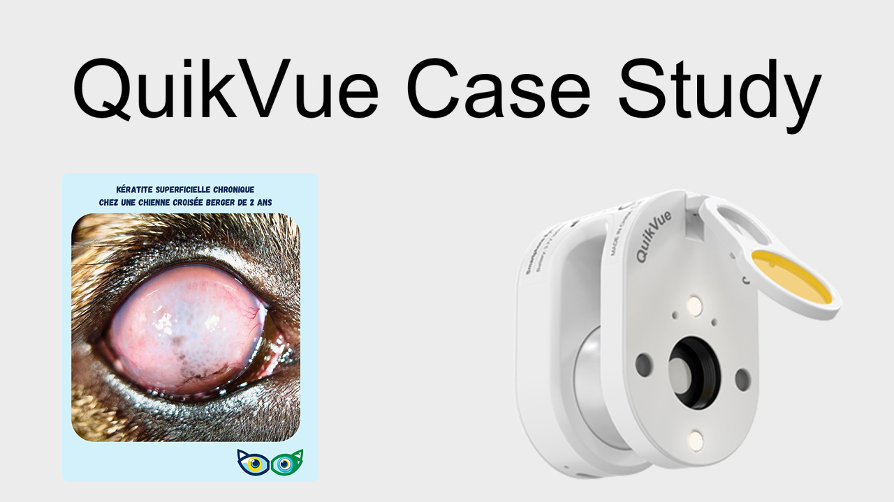 QuikVue Vet Case Share – Chronische oberflächliche Keratitis bei einem gemischten Schäferhund.