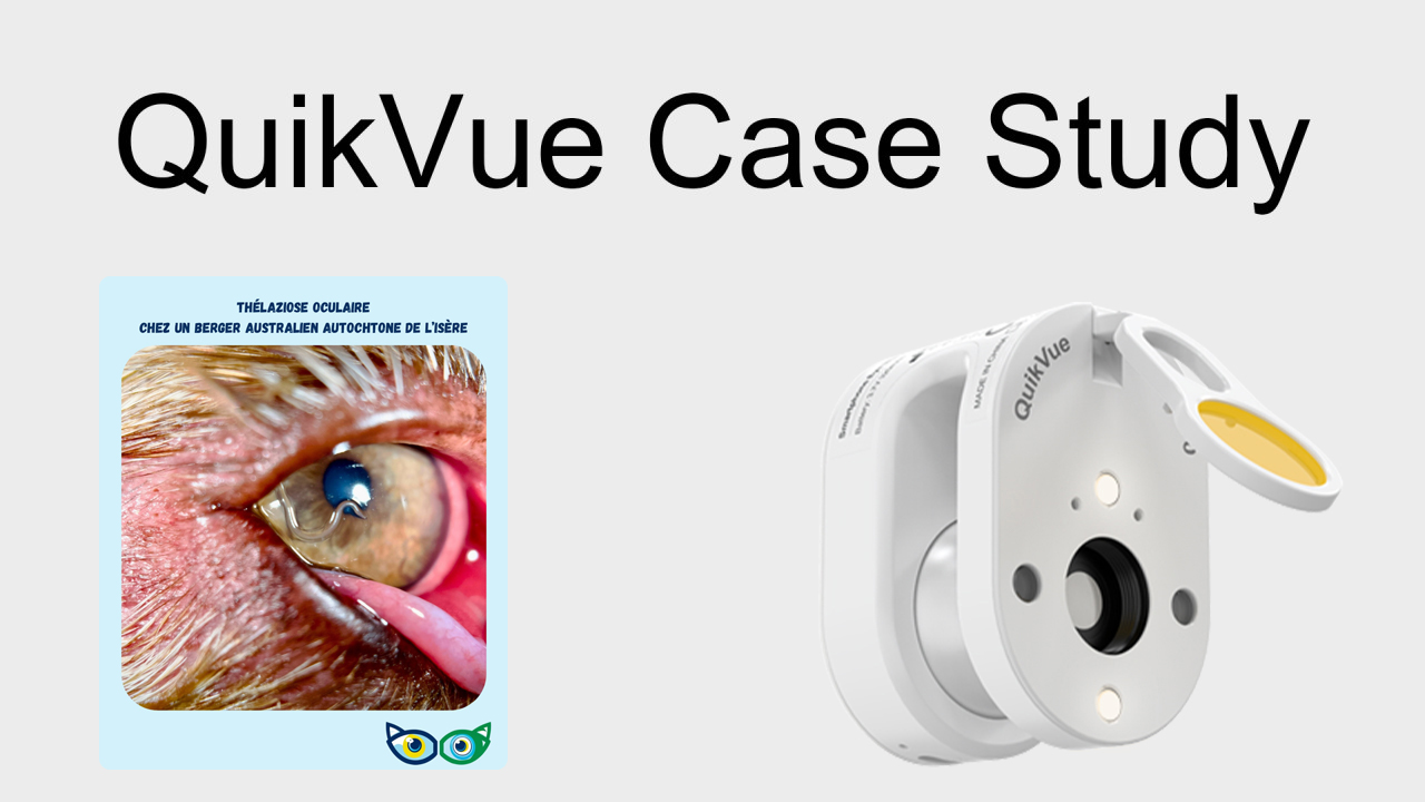 QuikVue Vet Case Share – Augenthelaziose bei einem australischen Schäferhund