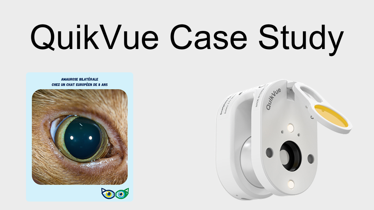 QuikVue Vet Case Share – Bilaterale Amaurose bei einer europäischen Katze