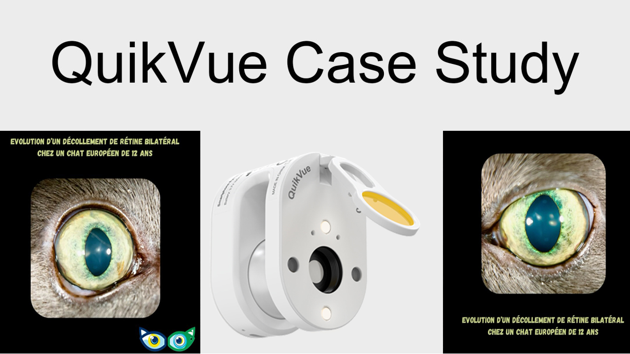 QuikVue Vet Case Share – beidseitige Netzhautablösung bei einer europäischen Katze.