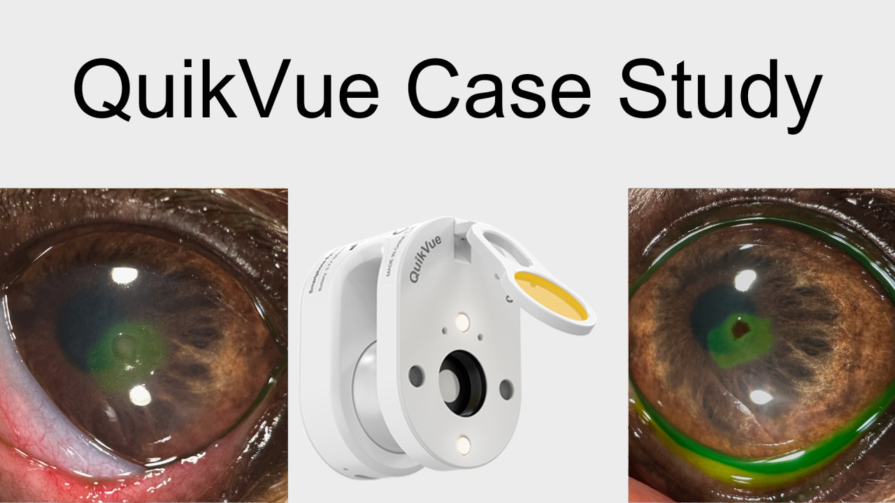 QuikVue Vet Case Share – Hornhautfremdkörper
