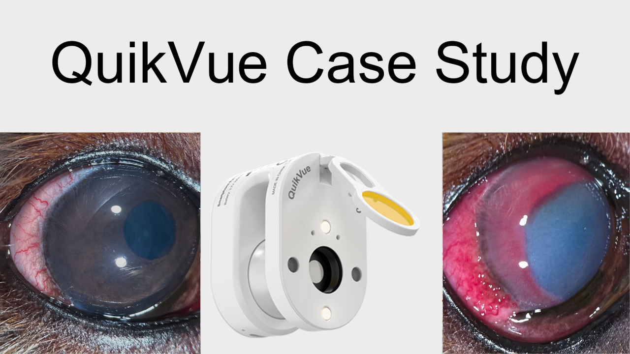 QuikVue Vet Case Share-Episclerokeratitis