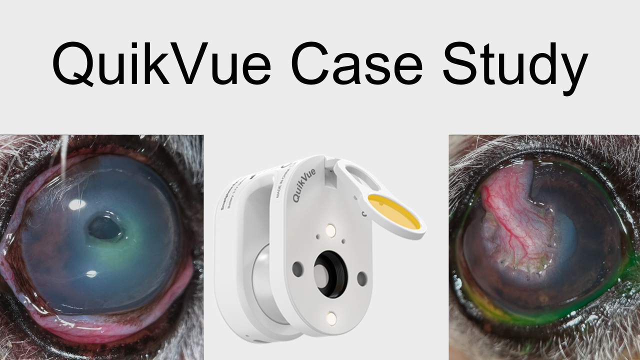 QuikVue Vet Case Share - قرحة عميقة