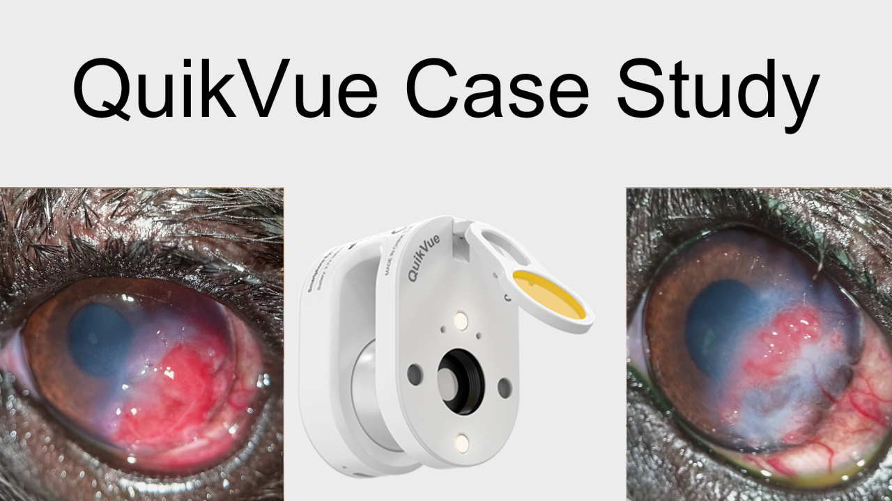 QuikVue Vet Case Share- البكتيريا المعوية السيئة