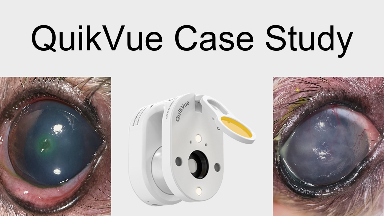 QuikVue Vet Case Share - جفاف العين