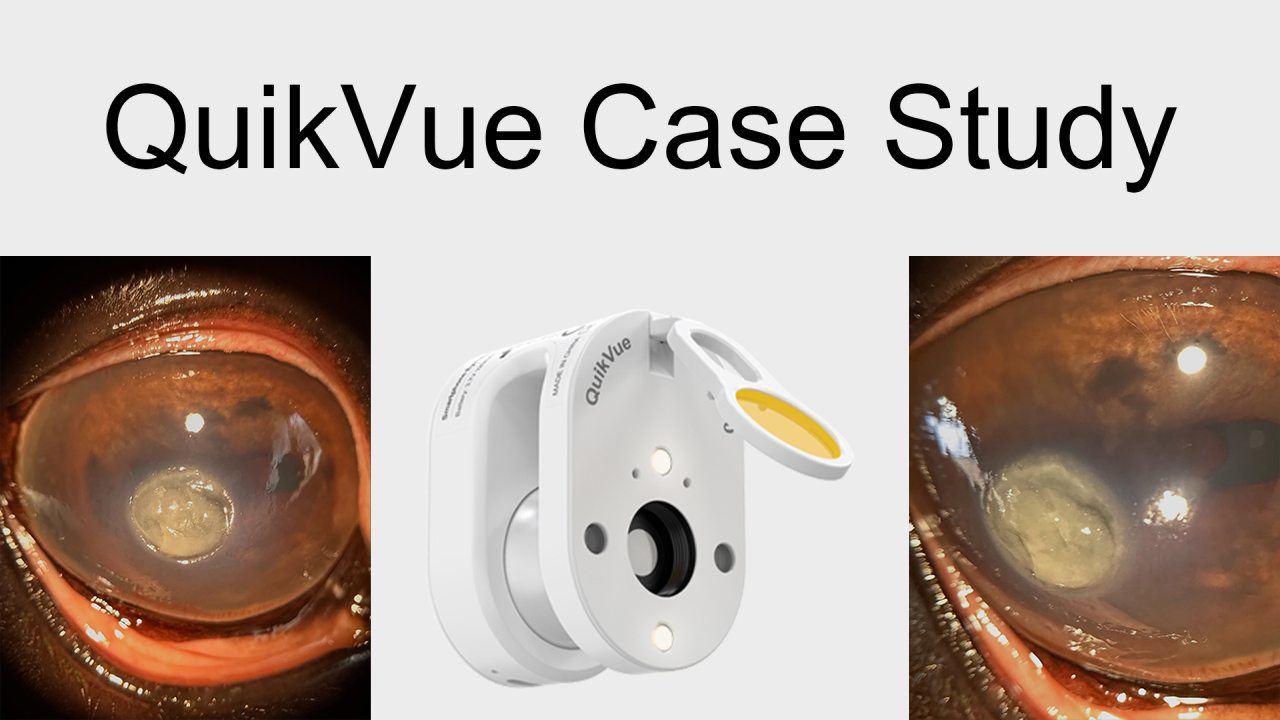 QuikVue Vet Case Share - التهاب القرنية الفطري