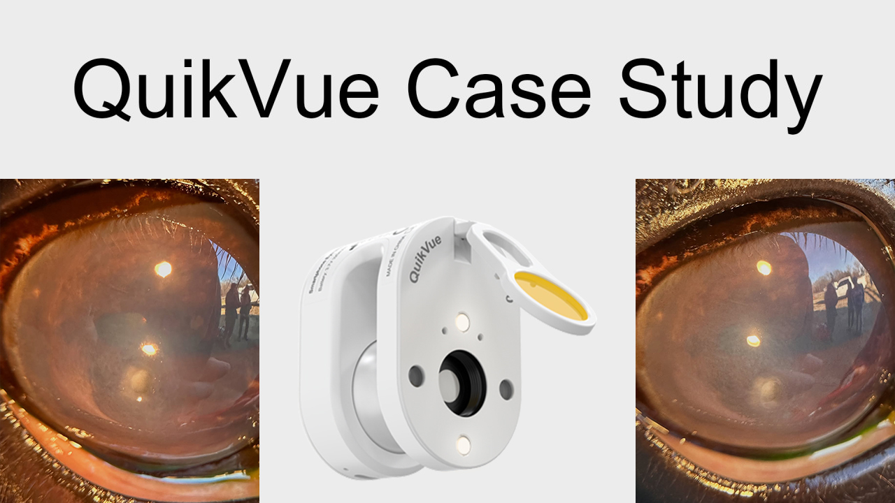 QuikVue Vet Case Share - خراج انسجة الخيول