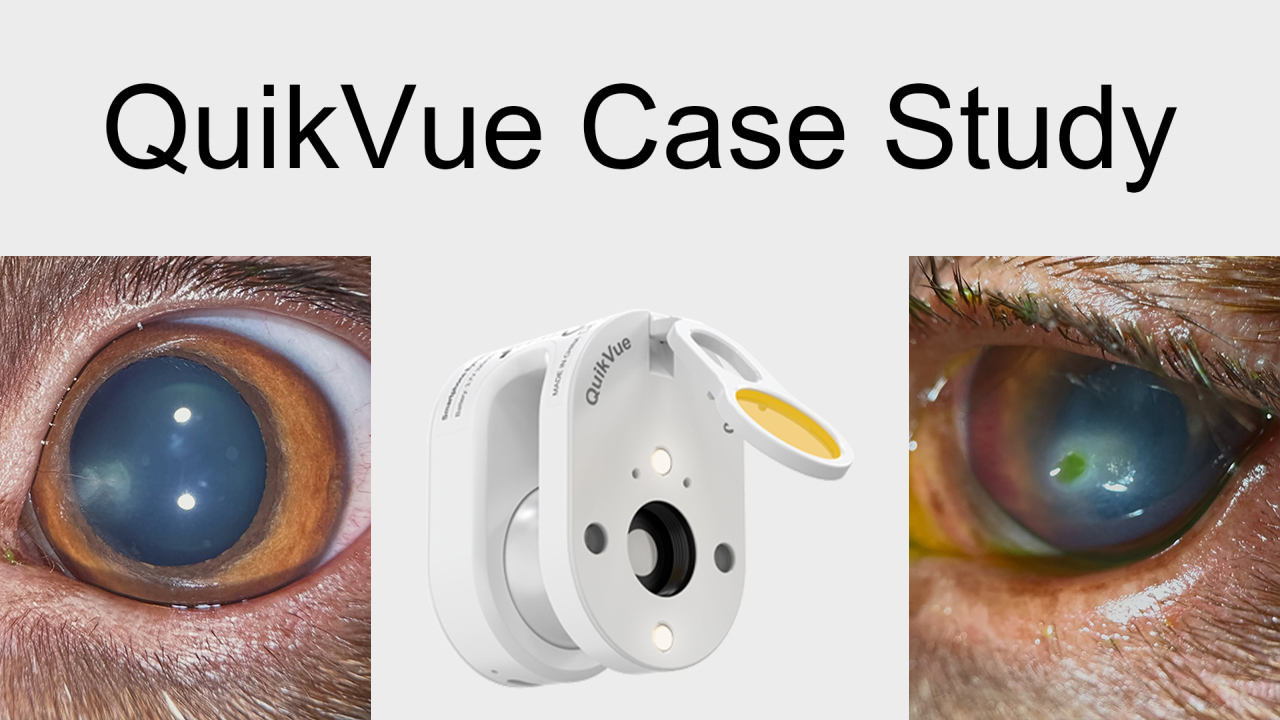 QuikVue Vet Case Share - قرحة القرنية المصابة