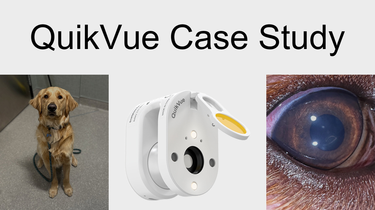 QuikVue Vet Case Share - الأجسام الغريبة السطحية في القرنية