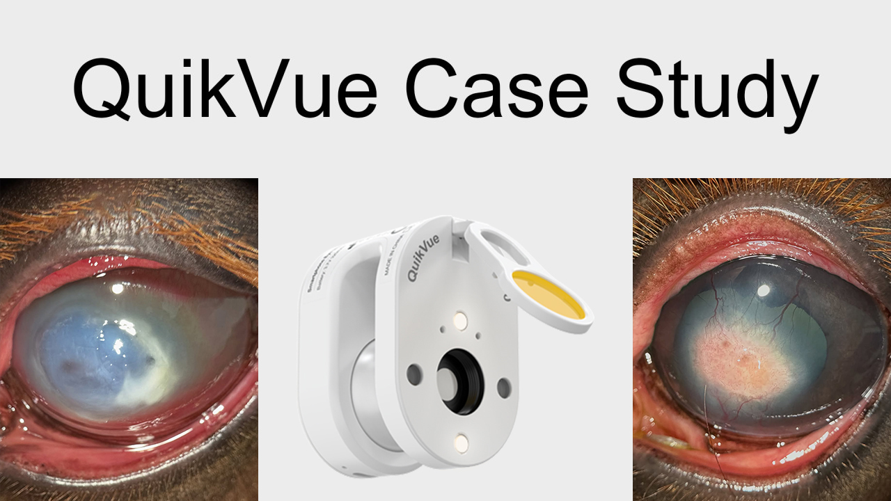 QuikVue Vet Case Share - حل خراج القرنية