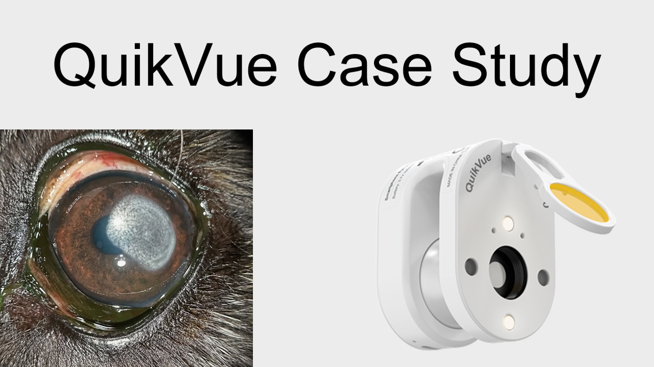 QuikVue Vet Case Share - ضمور القرنية