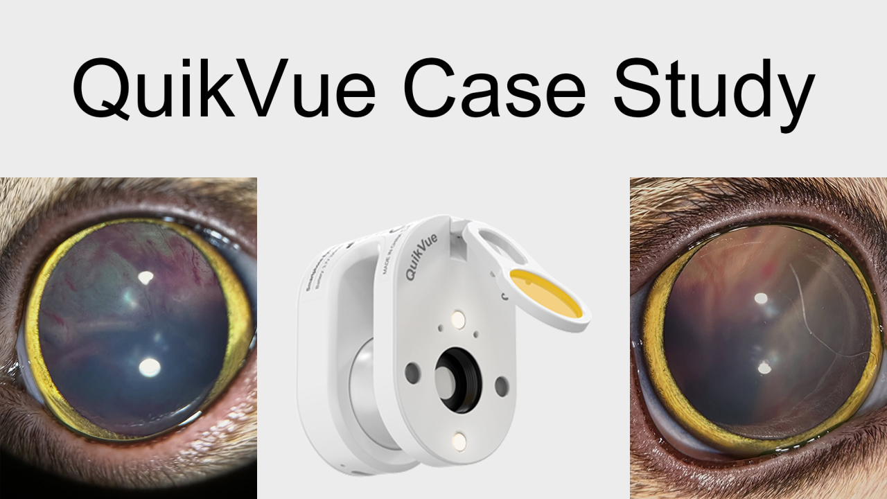 QuikVue Vet Case Share - العمى