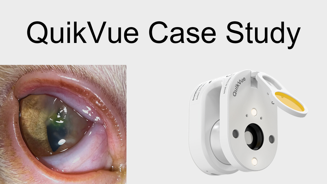 QuikVue Vet Case Share - قرحة عميقة مع جيوب من الخراج في القرنية