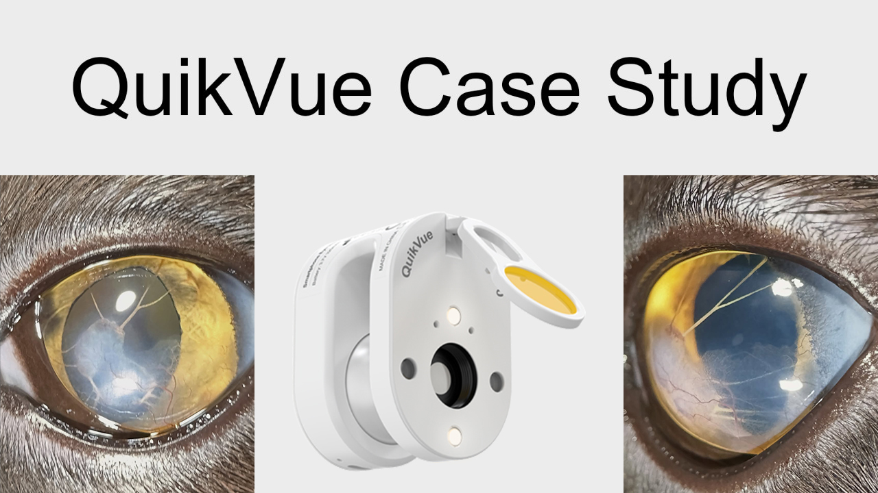 QuikVue Vet Case Share - أغشية الحدقة المستمرة