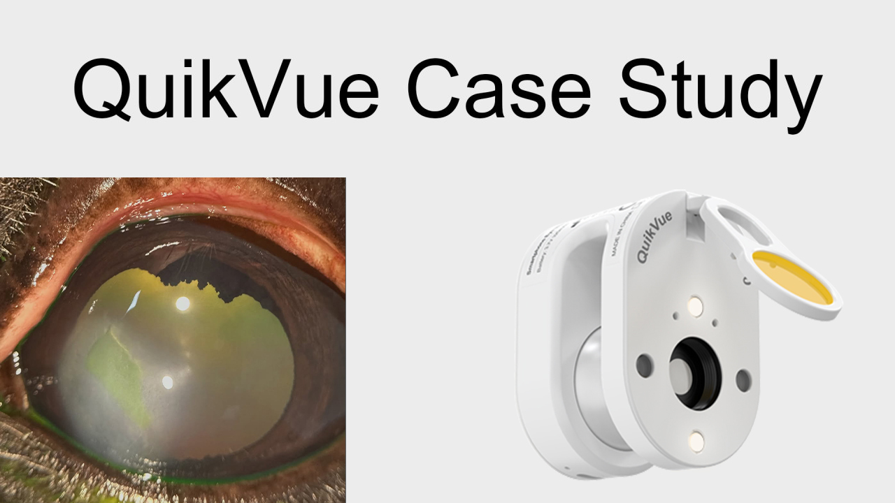 QuikVue Vet Case Share - وذمة القرنية