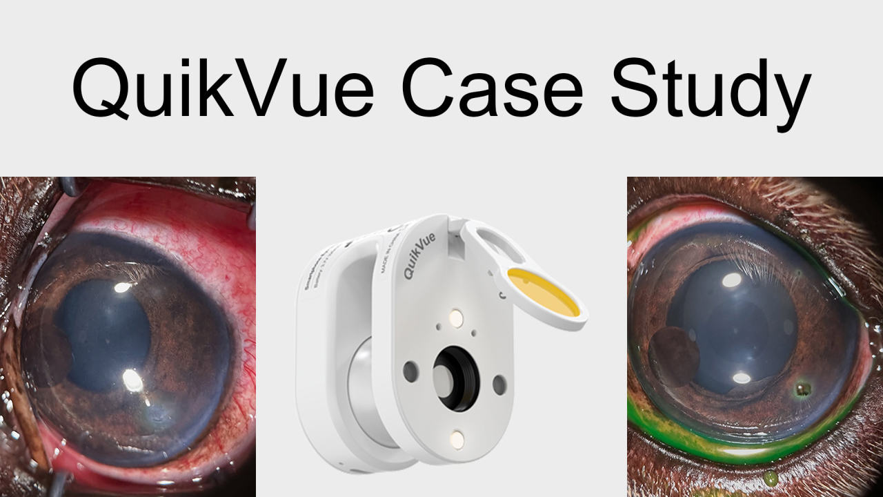 QuikVue Vet Case Share - الأجسام الغريبة في القرنية