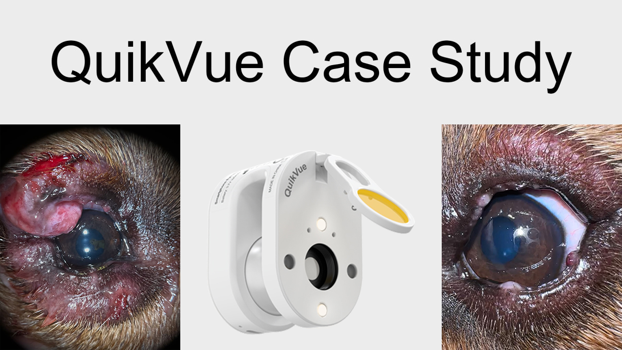 QuikVue Vet Case Share - التهاب الجفن الشديد