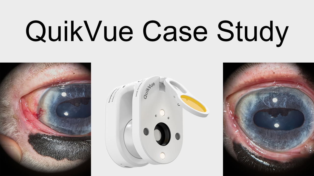 QuikVue Vet Case Share - الأوعية القرنية الصلبة