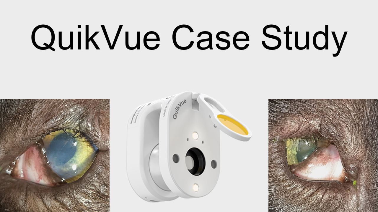 QuikVue Vet Case Share - الشتر الداخلي