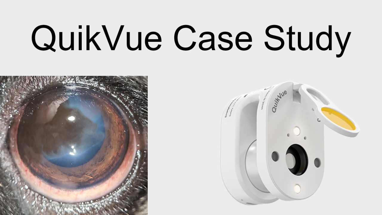 QuikVue Vet Case Share - التهاب القرنية الصباغي