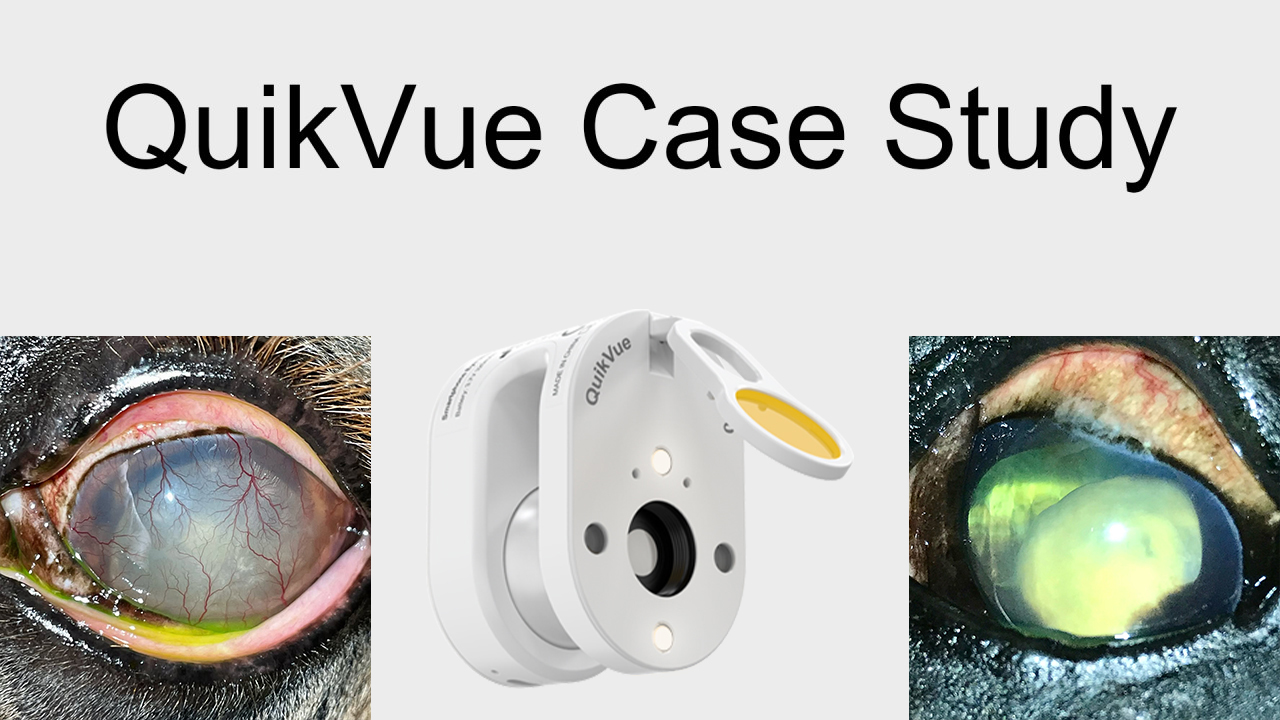 QuikVue Vet Case Share - حافظة رخائية للعدسة
